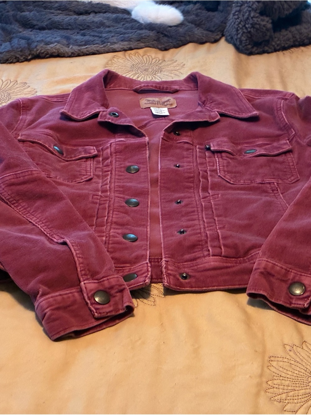 Levi's Corduroy Jacket in Berry
